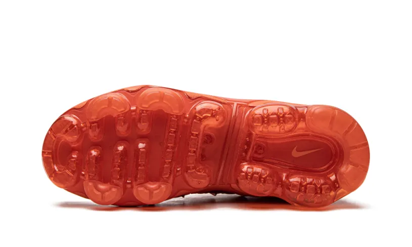 Nike Air Max AIR VAPORMAX PLUS WMNS 