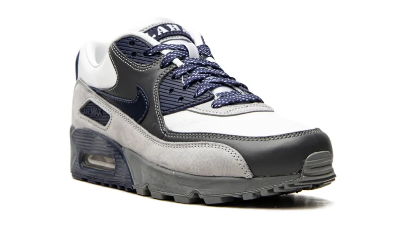 Nike Air Max Air Max 90 'Lahar Escape Grey' 