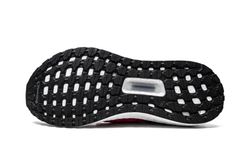 Adidas Ultraboost ULTRABOOST 19 WMNS 