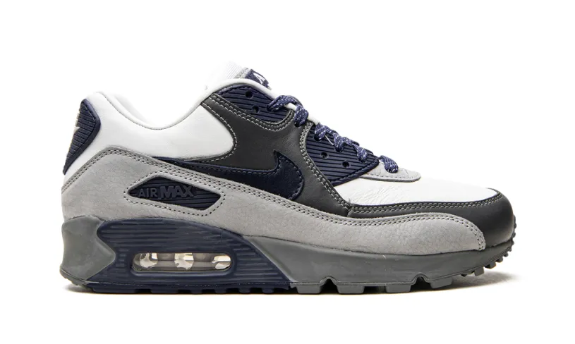 Nike Air Max Air Max 90 'Lahar Escape Grey' 