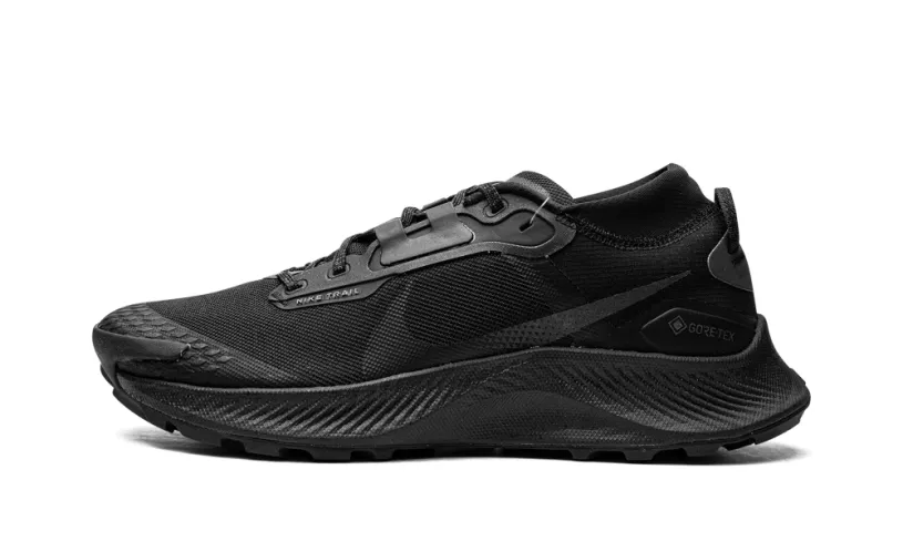 Nike Lifestyle Pegasus Trail 3 GTX 'Gore-Tex - Triple Black' 