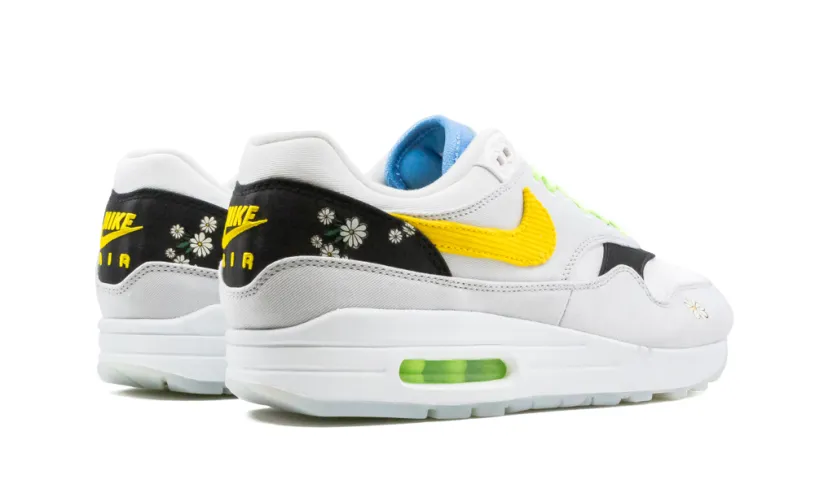 Nike Air Max Air Max 1 'Daisy Pack' 