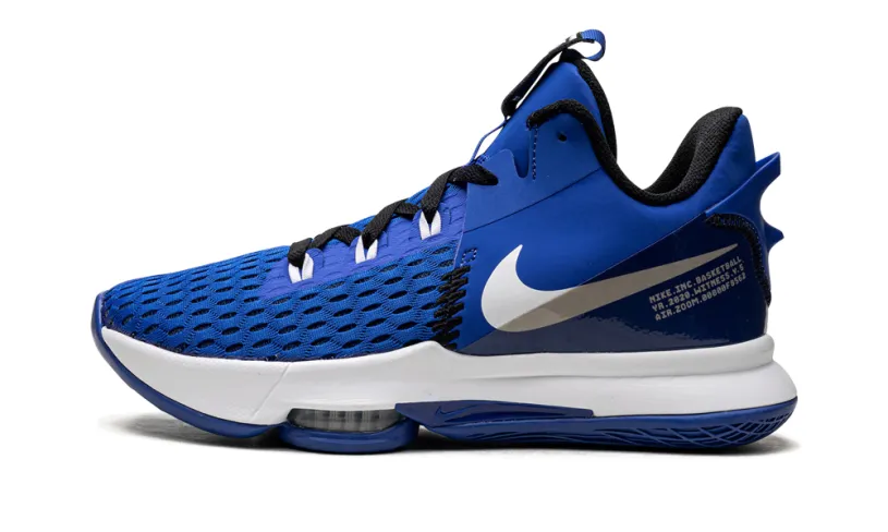Nike Basketball LeBron Witness V 