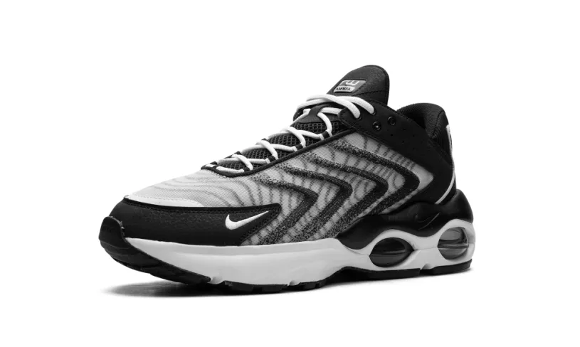 Nike Air Max Air Max TW 'Black White' 