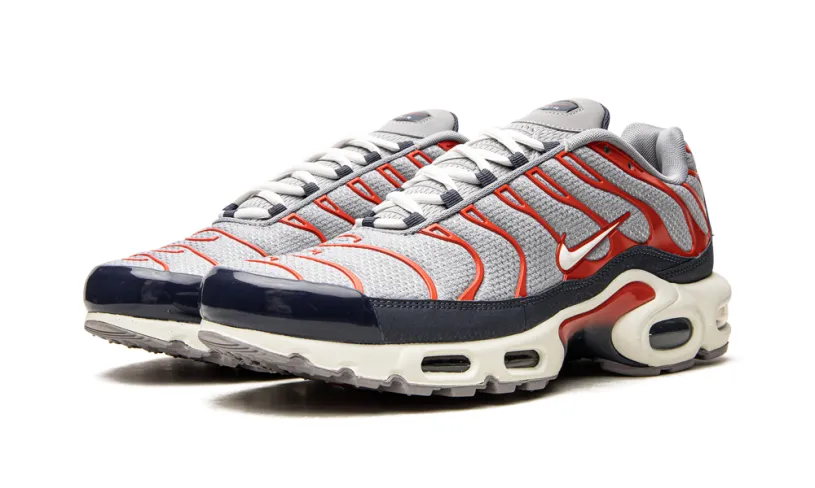 Nike Air Max Air Max Plus 'USA Grey'