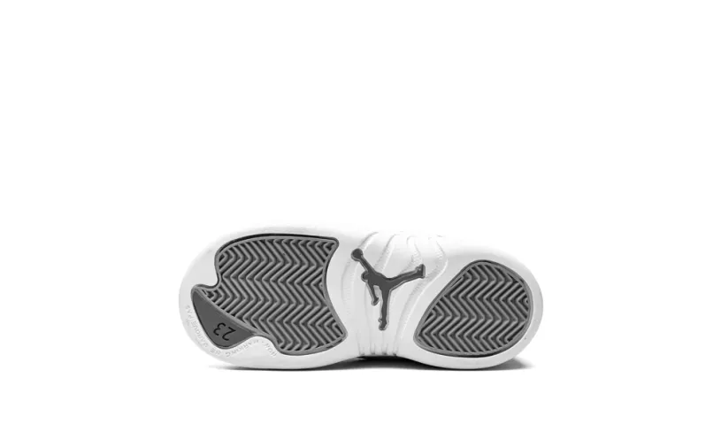 Air Jordan 12 Jordan 12 Retro TD 'Stealth' 