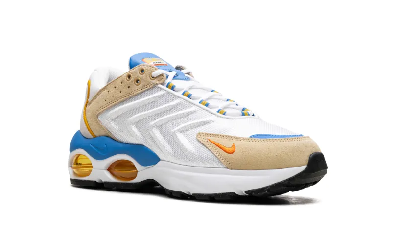 Nike Lifestyle Air Max TW 'Frank Rudy'