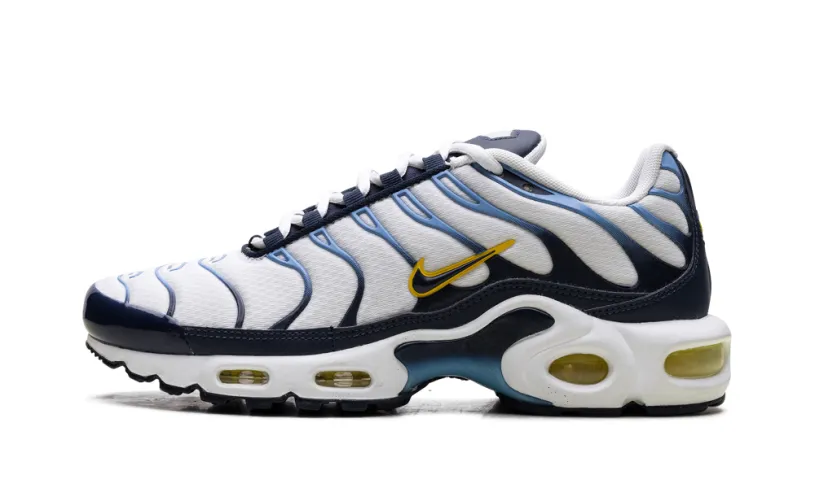 Nike Air Max Air Max Plus 