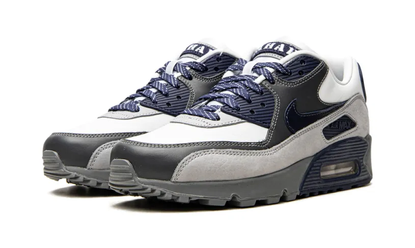 Nike Air Max Air Max 90 'Lahar Escape Grey' 