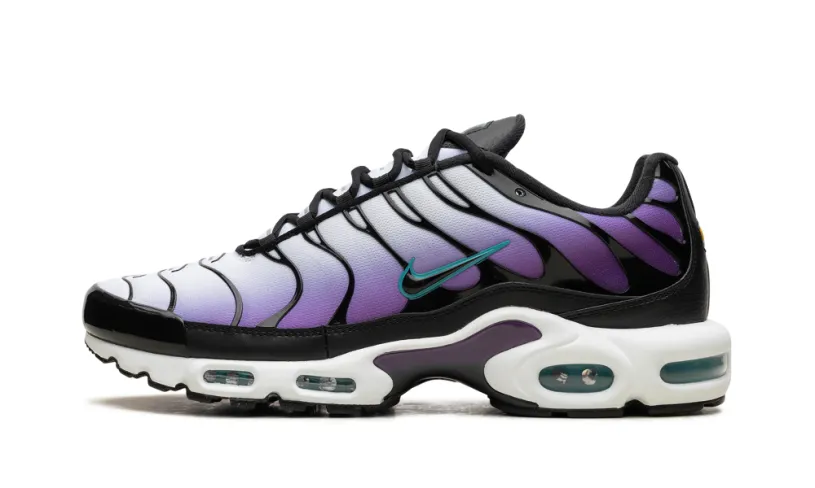 Nike Air Max Air Max Plus 'Reverse Grape' 
