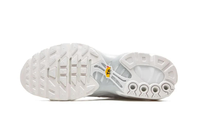Nike Air Max AIR MAX PLUS WMNS 'Pure Platinum' 
