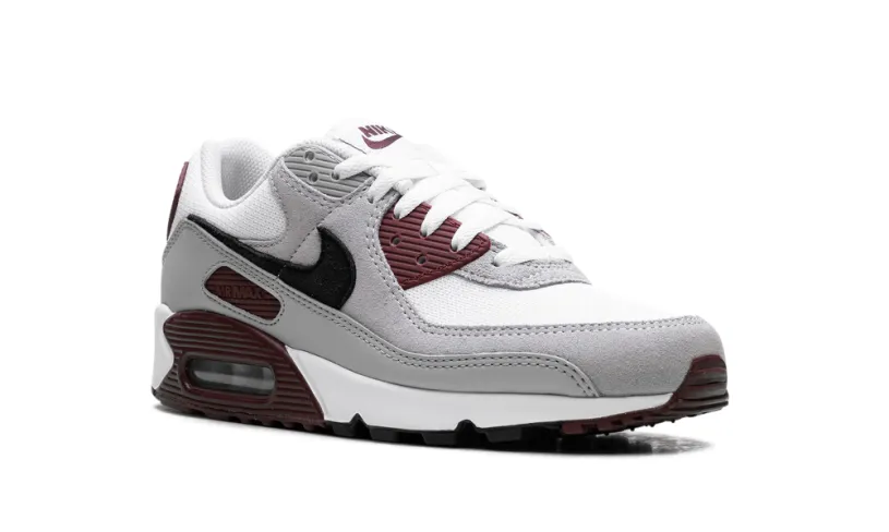 Nike Air Max Air Max 90 'Dark Team Red'' 