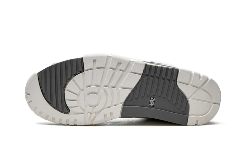 Nike Lifestyle Air Trainer 1 'Photon Dust' 