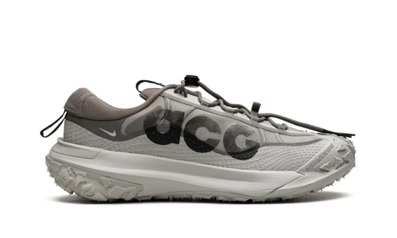 Nike Lifestyle ACG Mountain Fly Low 2 'Iron Ore' 