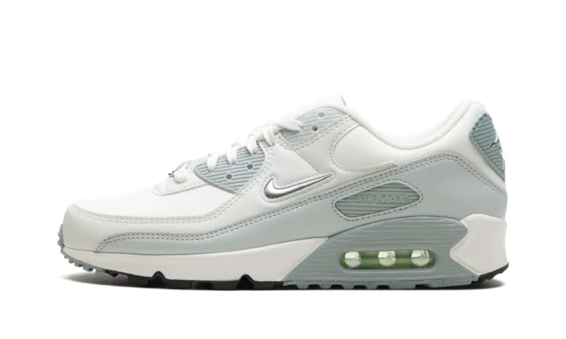 Nike Air Max Air Max 90 WMNS 'Silver' 