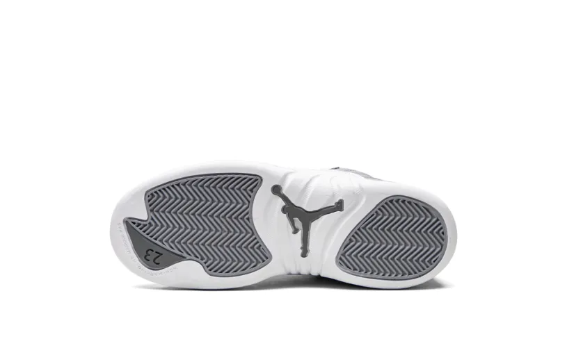 Air Jordan 12 Air Jordan 12 Retro PS 'Stealth' 