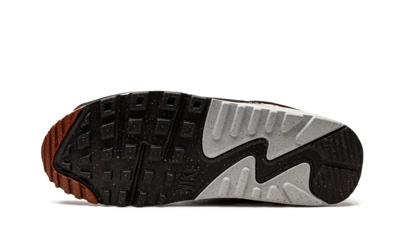Nike Air Max AIR MAX 90 SE 'Social FC' 