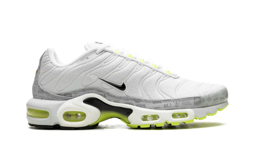 Nike Air Max Air Max Plus 'Platinum Grey Reflective Logos' 