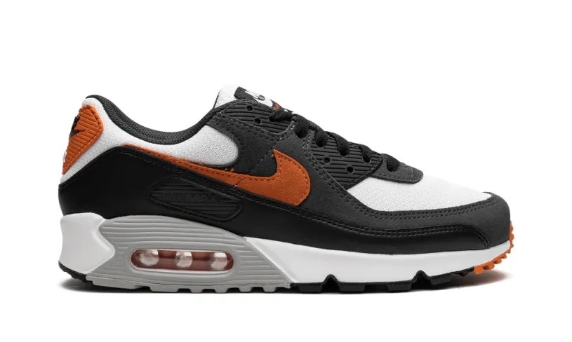 Nike Air Max Air Max 90 'Starfish' 
