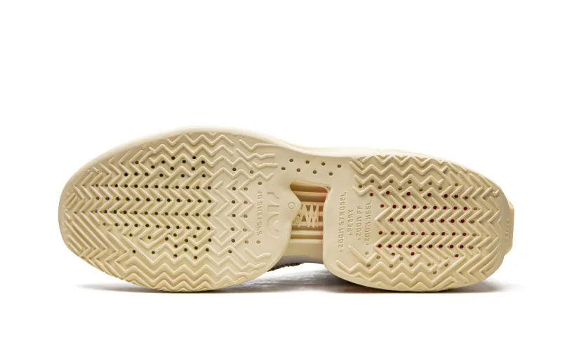 Nike Basketball Air Zoom GT Jump 