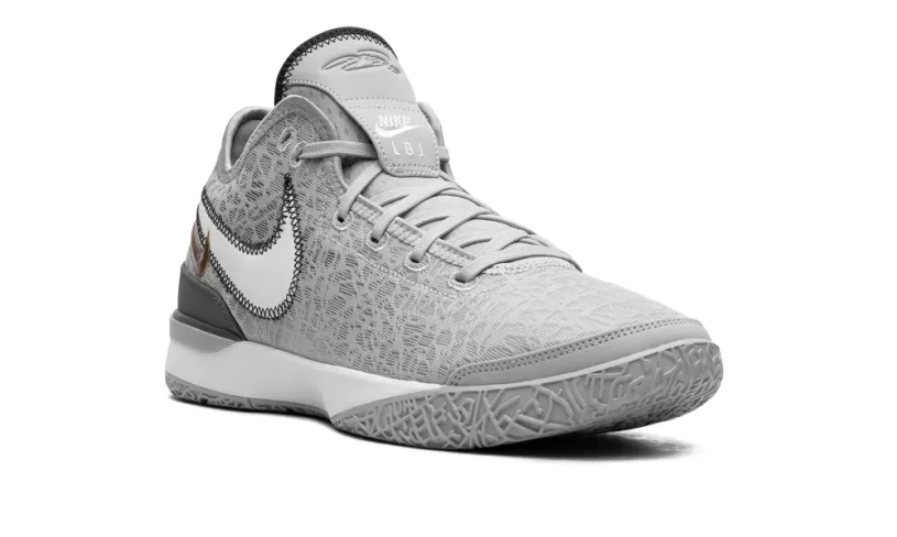 Nike Basketball Zoom LeBron NXXT Gen 'Wolf Grey Metallic Gold' 