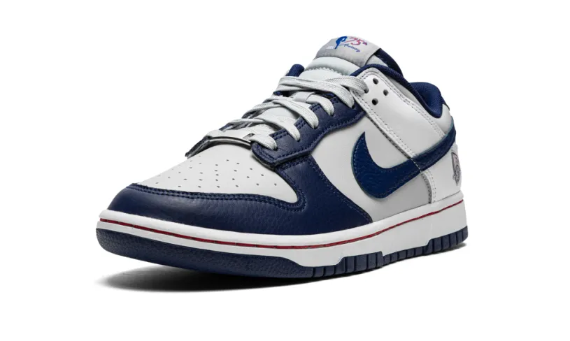 Nike Dunk Dunk Low Retro EMB 'NBA 75th Anniversary Brooklyn Nets' 