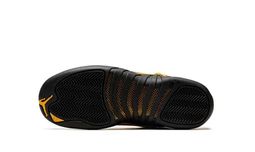 Air Jordan 12 Air Jordan 12 GS 'Black Taxi' 