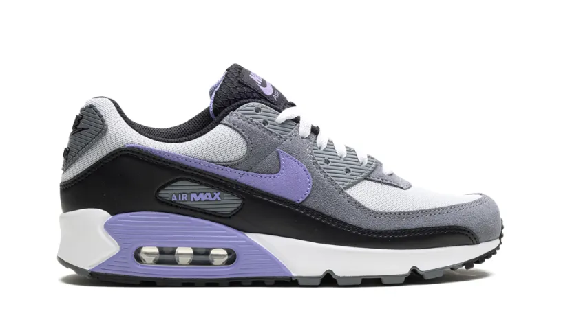 Nike Air Max Air Max 90 'Light Thistle' 