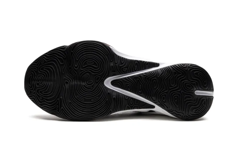 Nike Basketball ZOOM FREAK 3 'The OG' 