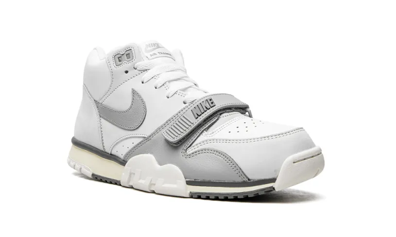Nike Lifestyle Air Trainer 1 'Photon Dust' 