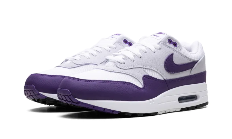 Nike Lifestyle Air Max 1 SC 'Field Purple'