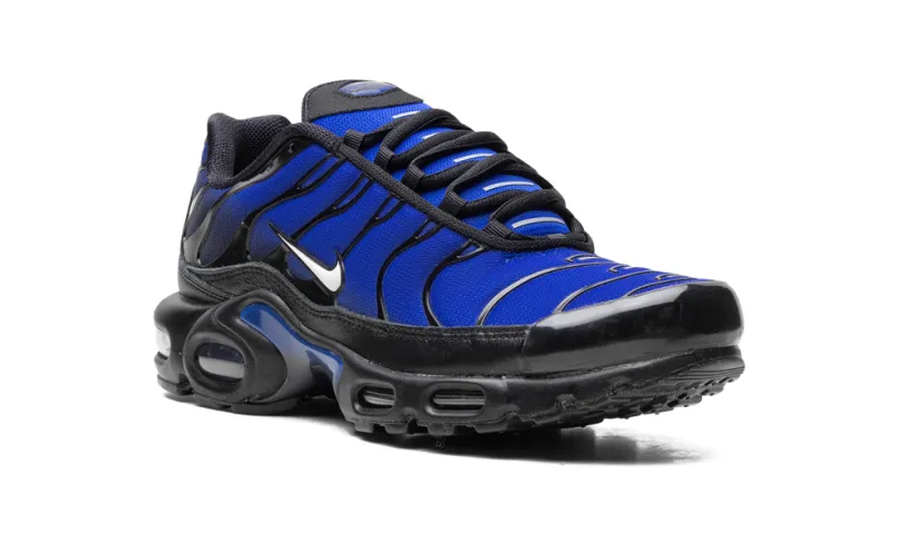 Nike Air Max AIR MAX PLUS 'Black' 