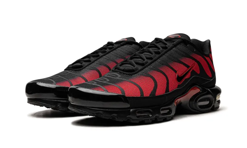 Nike Lifestyle Air Max Plus 'Bred Reflective'