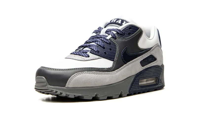 Nike Air Max Air Max 90 'Lahar Escape Grey'