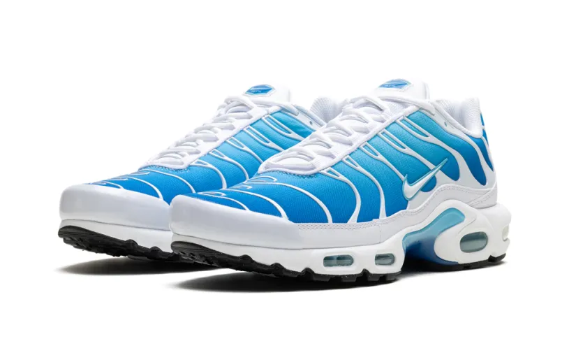 Nike Air Max Air Max Plus 'Blue Gaze' 