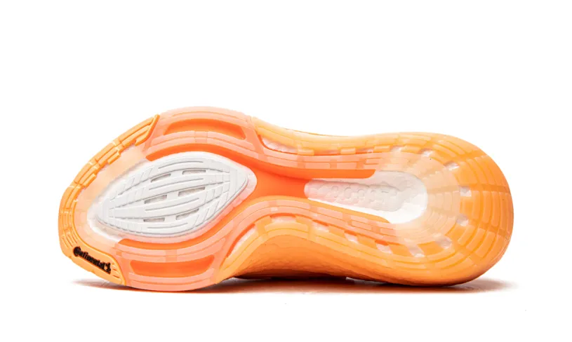 Adidas Ultraboost ULTRABOOST 21 WMNS 