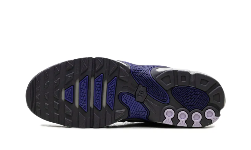 Nike Air Max Air Max Plus Drift 'Concord' 