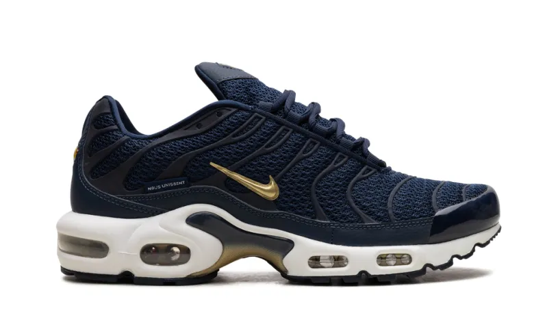 Nike Air Max Air Max Plus 'FFF' 