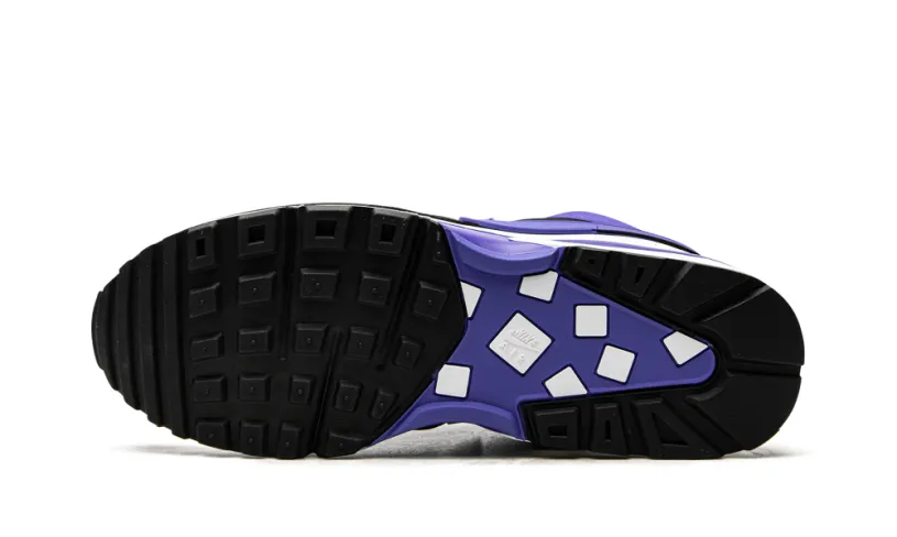 Nike Air Max Air Max BW OG 'Persian Violet (2021)' 