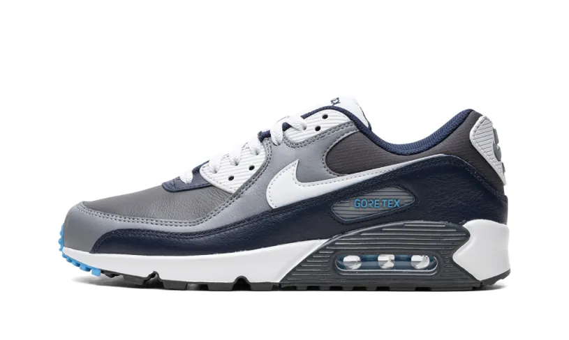 Nike Air Max Air Max 90 Gore-Tex 'Anthracite / Obsidian'
