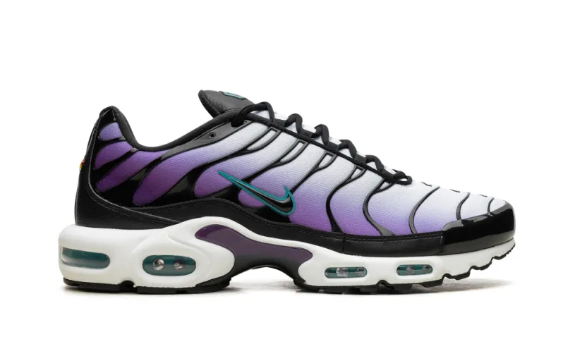 Nike Air Max Air Max Plus 'Reverse Grape' 