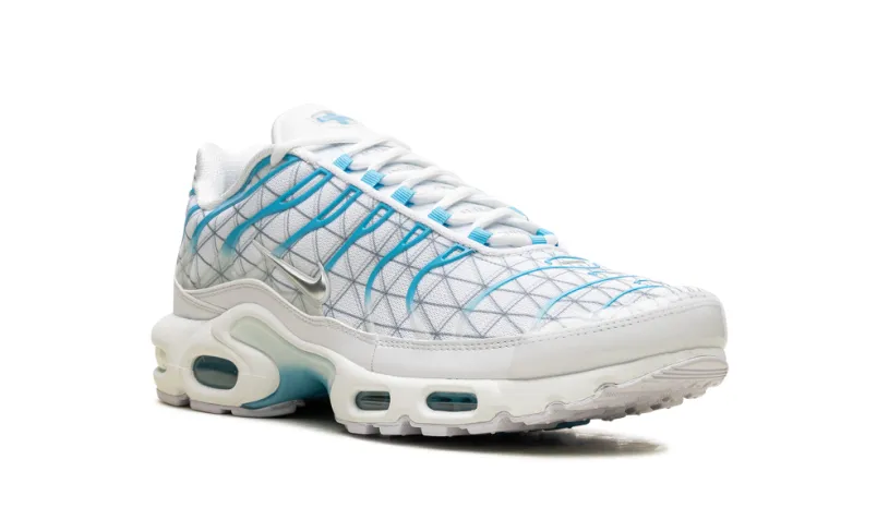 Nike Air Max Air Max Plus 'Marseille' 