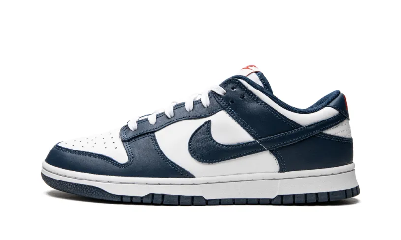 Nike Dunk Dunk Low Retro 'USA'