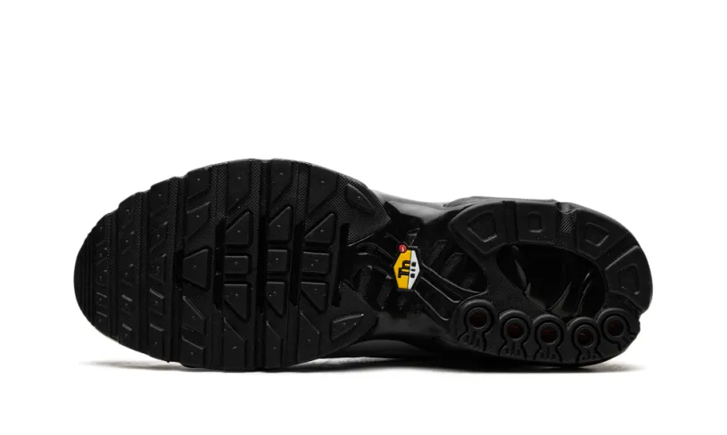 Nike Air Max Air Max Plus 'Wolf Grey' 