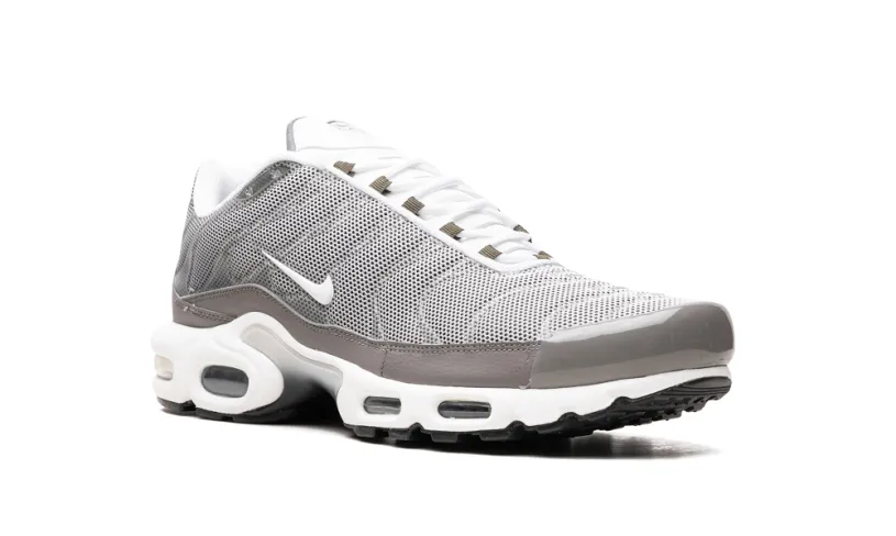 Nike Air Max Air Max Plus SE 'Flat Pewter' 