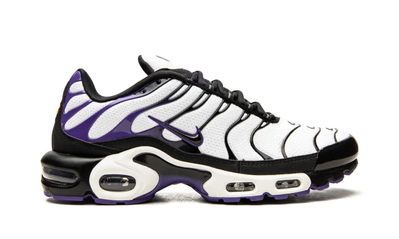 Nike Air Max Air Max Plus 'Persian Violet' 