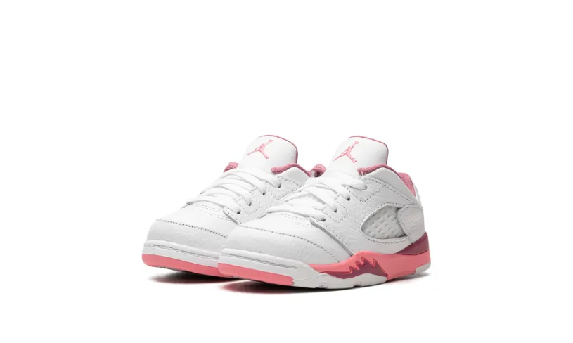 Air Jordan 5 Air Jordan 5 Low TD 'Fundamental'