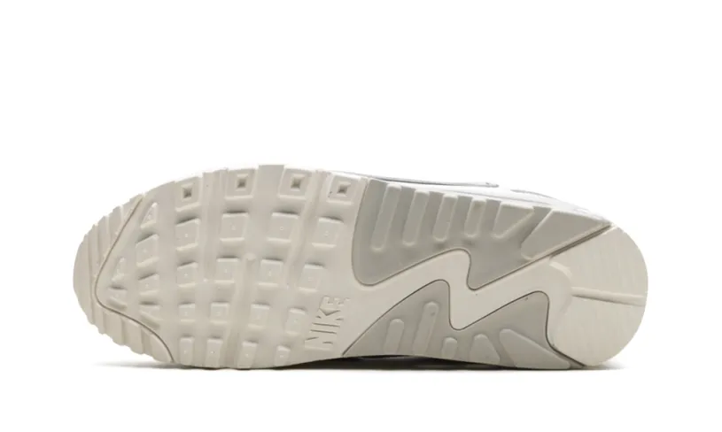 Nike Air Max Air Max 90 Futura WMNS 'Give Her Flowers'
