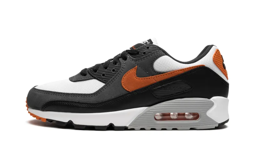 Nike Air Max Air Max 90 'Starfish'