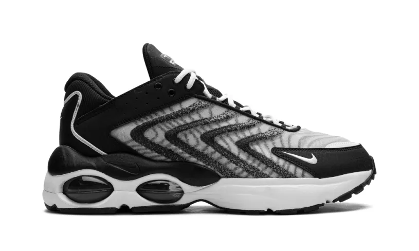 Nike Air Max Air Max TW 'Black White' 